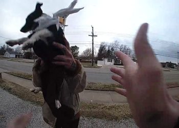 Wanita Ini Seret dan Tendang Anak Anjing Lalu Melemparnya ke Polisi, Ditangkap