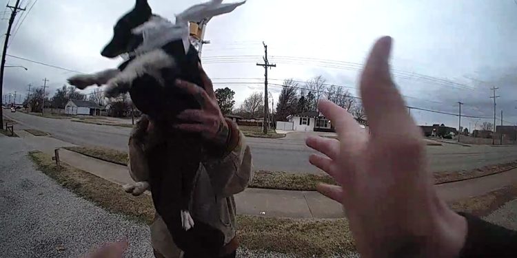 Wanita Ini Seret dan Tendang Anak Anjing Lalu Melemparnya ke Polisi, Ditangkap