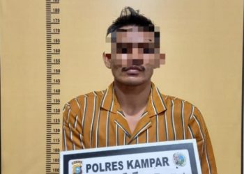 Resnarkoba Polres Kampar Tangkap Pengedar Daun Ganja Kering di Desa Kuok