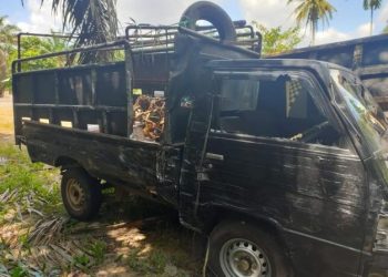 Sebuah Pikap L300 pengangkut babi Bertabrakan dengan Colt Diesel di Jalan Lintas Timur