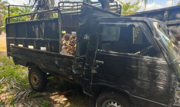 Sebuah Pikap L300 pengangkut babi Bertabrakan dengan Colt Diesel di Jalan Lintas Timur