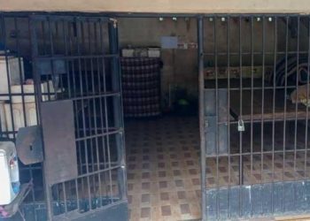 Komnas HAM Sebut Korban Tewas di Kerangkeng Bupati Langkat Lebih dari 1 Orang