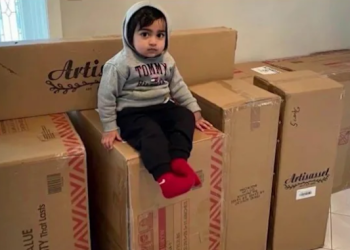 Balita Ini Kosongkan Keranjang Ibunya di Situs Walmart, Bengkak Rp28 jt