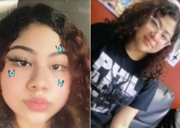 Remaja 15 Tahun Ditemukan Tewas Tertembak Sebanyak 22 Kali Saat Bawa Anjingnya Jalan-jalan