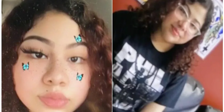 Remaja 15 Tahun Ditemukan Tewas Tertembak Sebanyak 22 Kali Saat Bawa Anjingnya Jalan-jalan