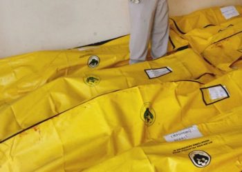 Kota Jaya Pura Dilanda Banjir dan Lonsgor, Enam Warga Meninggal Tertimbun