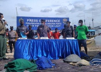 32 Penyu Diselamatkan Dari Perburuan Liar di Bali