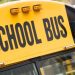 Ibu Asal Detroit Murka setelah Video Anaknya yang Menderita Autis Dilecehkan dalam Bus Sekolah