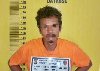 Sedang Asyik Jualan, Rumah Pedagang Cabai di Pekanbaru Dibobol Maling
