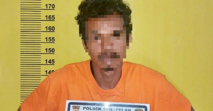 Sedang Asyik Jualan, Rumah Pedagang Cabai di Pekanbaru Dibobol Maling