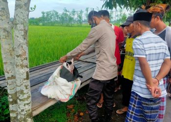 Warga NTB Temukan Jasad Bayi Perempuan Didalam Kardus, Ada Pesan ‘Tolong Dikuburkan dengan Baik’