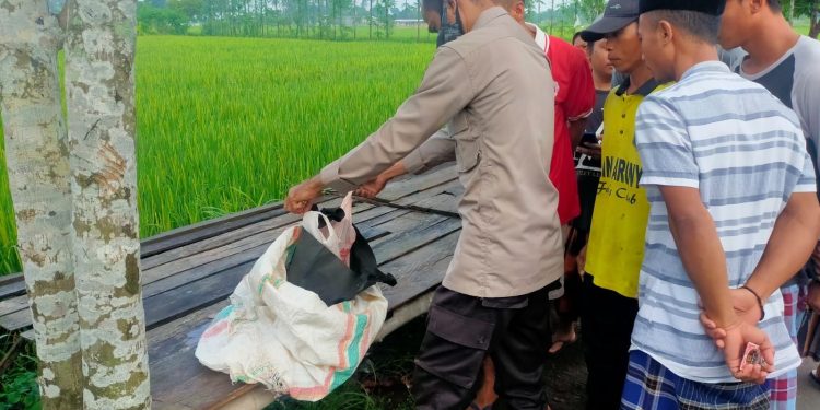 Warga NTB Temukan Jasad Bayi Perempuan Didalam Kardus, Ada Pesan ‘Tolong Dikuburkan dengan Baik’