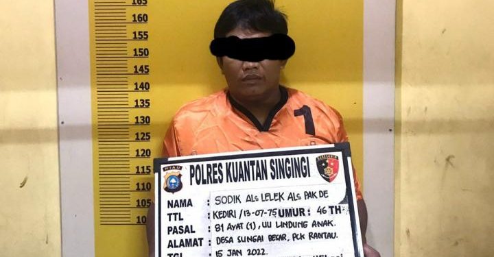 Ngumpet di Kebun Sawit, Pelaku Pencabulan Anak di Kuansing Berhasil Diringkus Polisi