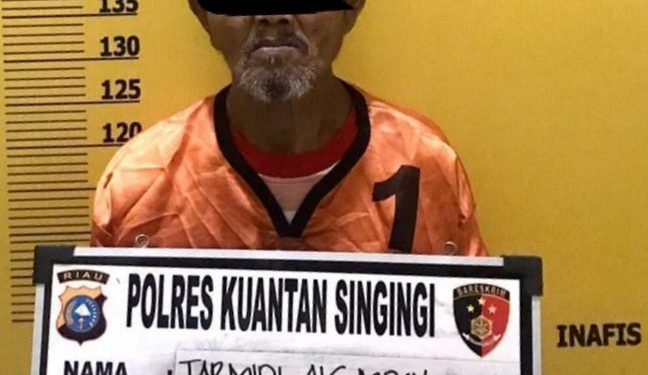 Ketagihan Bersitubuh, Kakek di Kuansing Perkosa Murid SD