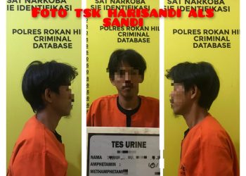 Simpan Sabu, Petani di Rohil Dibekuk Polisi