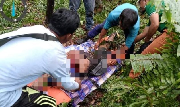 Diduga Diterkam Harimau, Penebang Kayu di Inhil Ditemukan Tewas