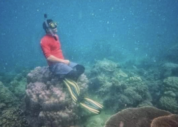 Nekat Duduk di Terumbu Karang, Pria Ini Terancam Hukuman 10 Tahun