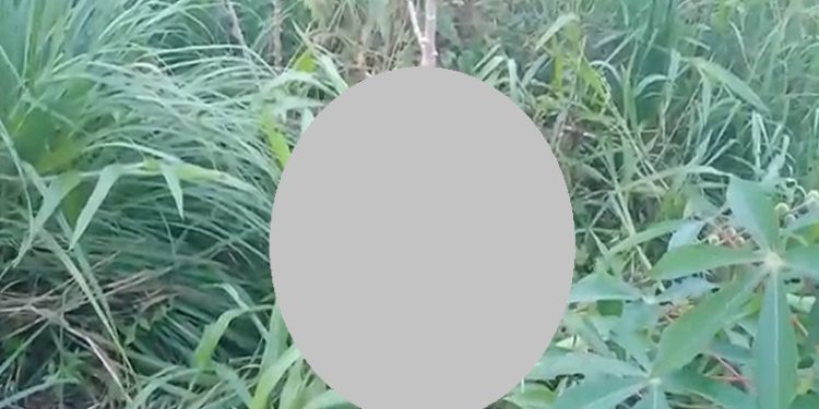Warga Timika Geger, Jasad Perempuan Ditemukan Tergeletak di Kebun