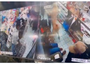 Anjing Bernama Bullet Berhasil Gagalkan Upaya Perampokan Toko, Selamatkan Nyawa Pegawai dan Manajer