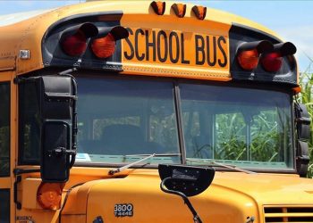 Lagi Bawa Anak-anak, Supir Bus Sekolah Ditembak di Bagian Kepala, Diyakini Selamat