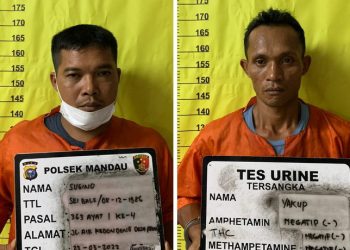 Ketahuan Maling Sawit, Dua Pria di Bengkalis Dijebloskan ke Penjara