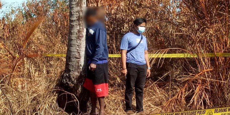 Depresi Ditolak Janda, Nelayan Gantung Diri di Pohon Kelapa