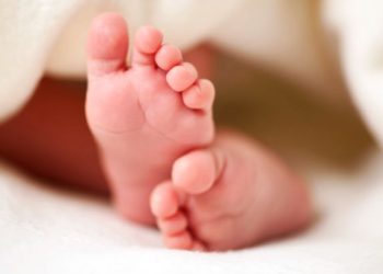Geger, Warga Ranai Dikejutkan Penemuan Mayat Bayi dalam Plastik