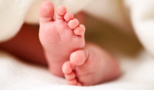 Geger, Warga Ranai Dikejutkan Penemuan Mayat Bayi dalam Plastik