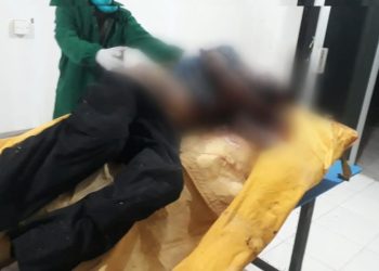 Tembilahan Hulu Geger,  Mayat Seorang Pria Ditemukan Membusuk di Kebun