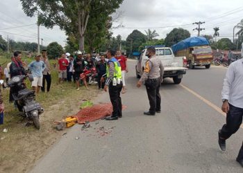 Dilindas Truk, Kakek 73 Tahun Tewas di Tempat, Cucu Patah Kaki