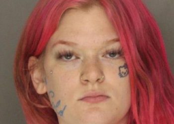 Seorang Pria Ditemukan Tewas di Sebuah Gang, Wanita Pennsylvania Ditangkap