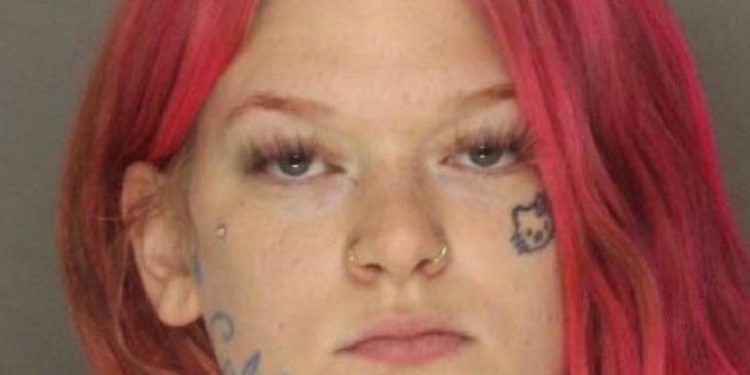 Seorang Pria Ditemukan Tewas di Sebuah Gang, Wanita Pennsylvania Ditangkap