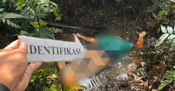 Perhentian Raja Geger, Mayat Wanita Tanpa identitas Ditemukan Membusuk di Kebun Sawit