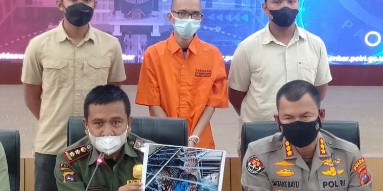 Perdagangkan Satwa Dilindungi Lewat Medsos, Pelaku Dibekuk Polisi