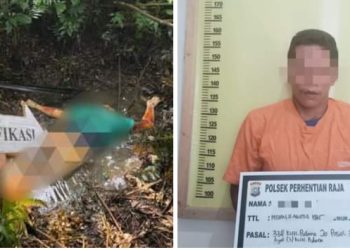 Kasus Penemuan Mayat di kebun Sawit di Perhentian Raja Sudah Terungkap, Pelaku Adalah Kekasih Korban