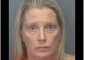 Lempar Anjing Pacarnya dari Lantai Tujuh hingga Mati, Wanita Ini Ditangkap Polisi