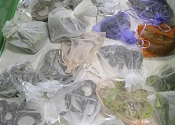 Pria Ini Selundupkan 1.700 Reptil dari Meksiko ke Amerika, Termasuk Spesies Dilindungi