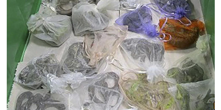 Pria Ini Selundupkan 1.700 Reptil dari Meksiko ke Amerika, Termasuk Spesies Dilindungi