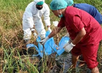 Lagi Asyik Cari Cacing Buat Mancing, Warga Temukan Mayat Dimutilasi