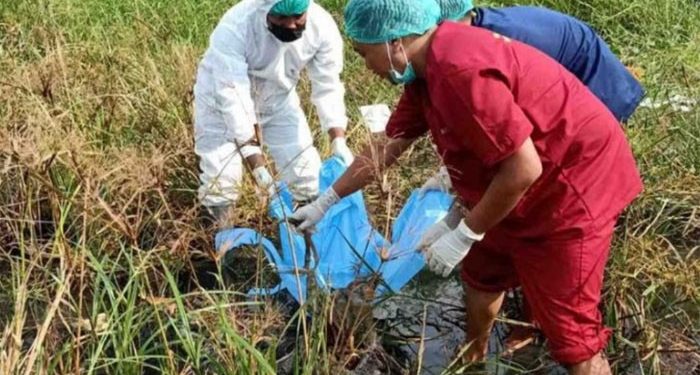 Lagi Asyik Cari Cacing Buat Mancing, Warga Temukan Mayat Dimutilasi