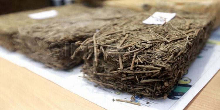 Simpan 18 Paket Ganja, Pria Paruh Baya Diringkus saat Santai di Warung