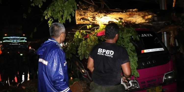 Bus Antar Kota Tertimpa Pohon Tumbang saat Angin Kencang