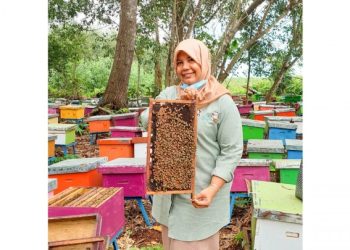 Grand Vand Agro, Madu Asal Riau yang Keasliannya Dijamin 100%, Peternakannya Bisa Dikunjungi!