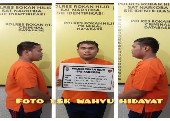 Pengedar Narkoba Dibekuk Polres Rohil Di Perbatasan Riau – Sumut, 1 DPO