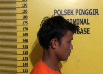 Perkosa Keponakan Berungkali Hingga Hamil, Warga Bengkalis Ini Diringkus Polisi