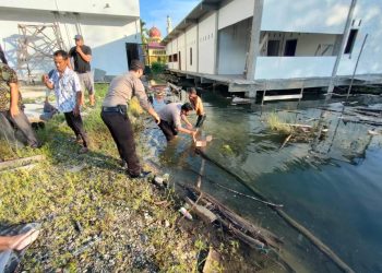 Tiga Bocah di Rohul Ditemukan Tewas di Rawa