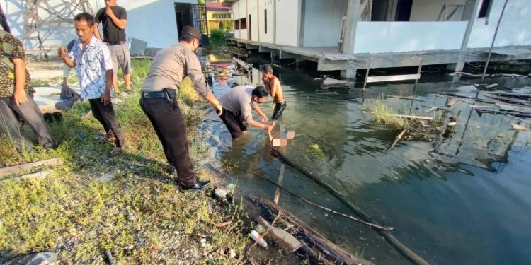 Tiga Bocah di Rohul Ditemukan Tewas di Rawa