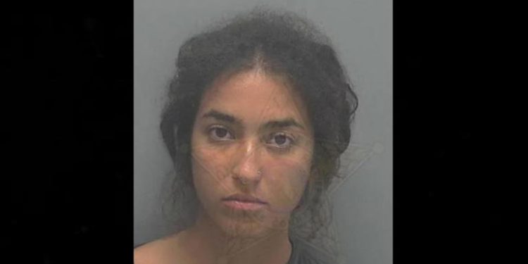 Pertengkaran Memanas, Wanita Ini Tikam Dada Ibunya, Tewas