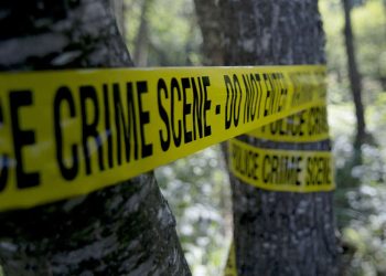 Diduga sudah Meninggal Seminggu, Mayat Bocah Laki-laki Ini Ditemukan di Area Berhutan