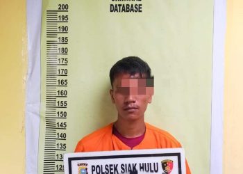 25 Batang Besi Tower SUTT PLN Desa Baru  Hilang, Ternyata Ini Pelakunya